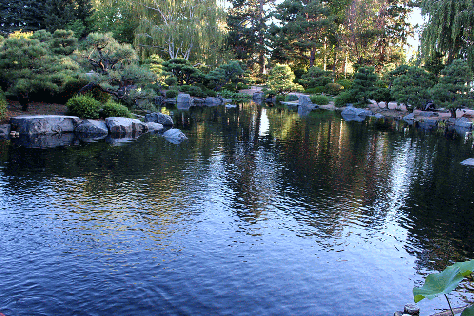 Japanese garden at Denver Botanic Gardens
